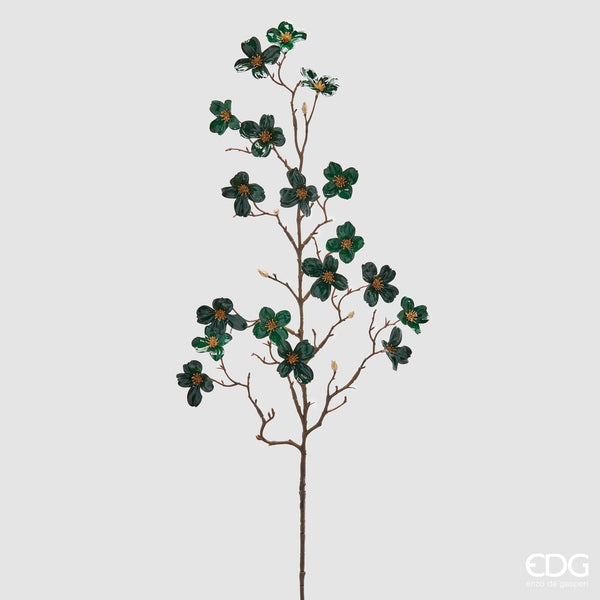 Cornus Glossy ramo H85 Green